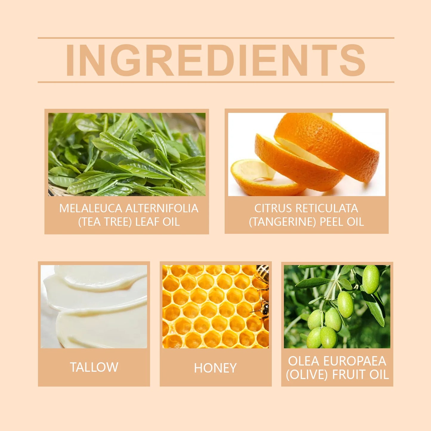 Catchy You Tallow Honey Glow Body Cream